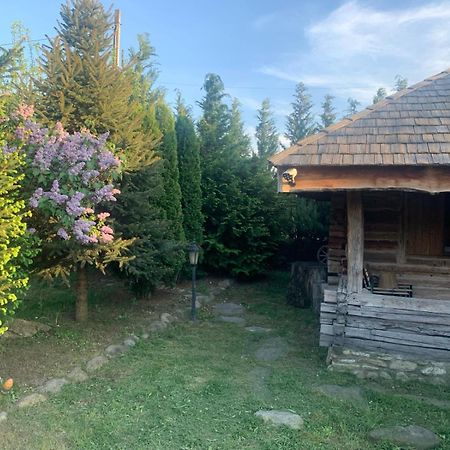 Satul Traditional Runcu  Exteriör bild
