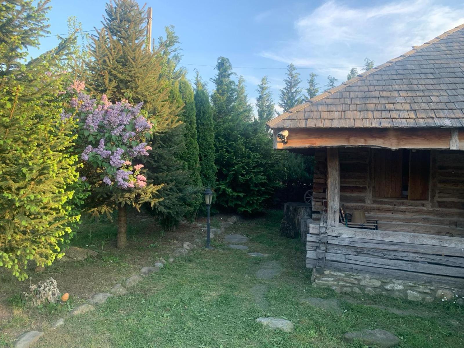 Satul Traditional Runcu  Exteriör bild