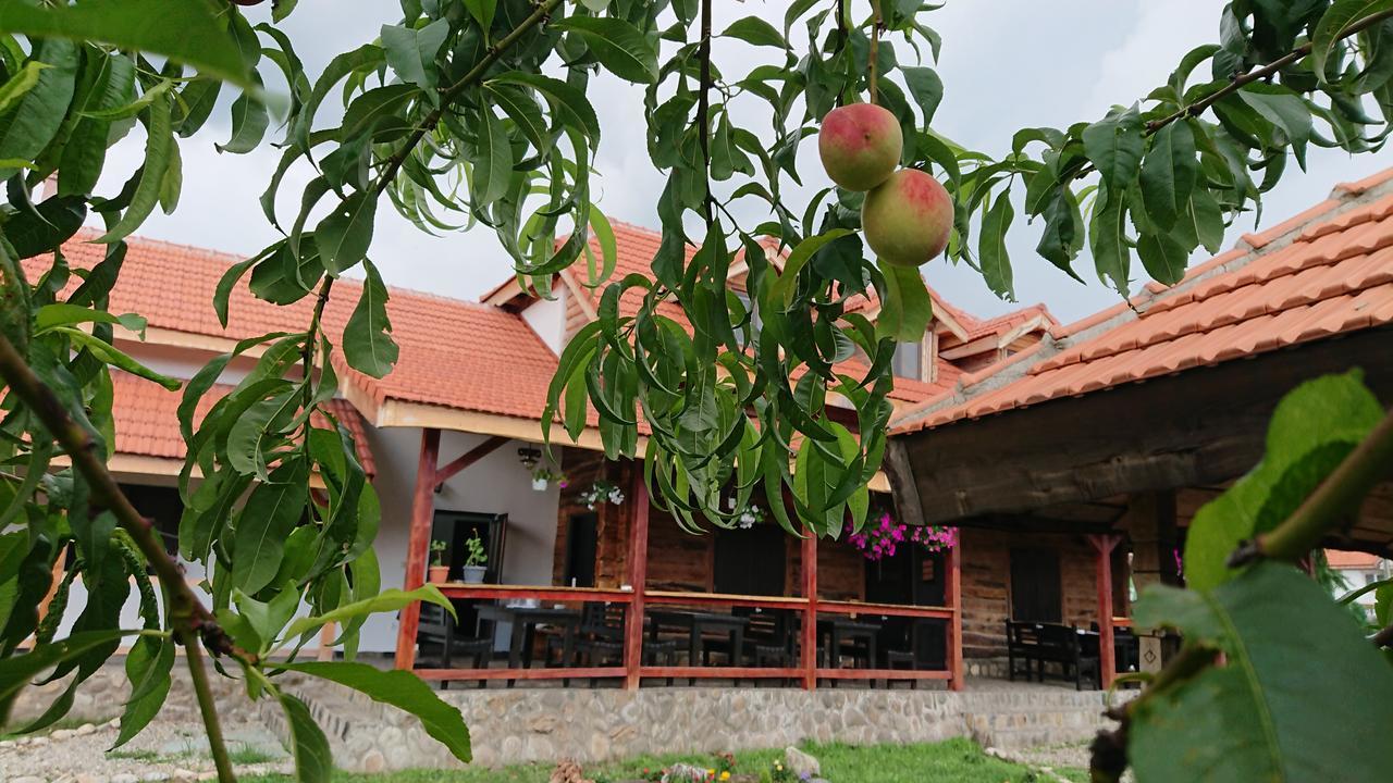 Satul Traditional Runcu  Exteriör bild
